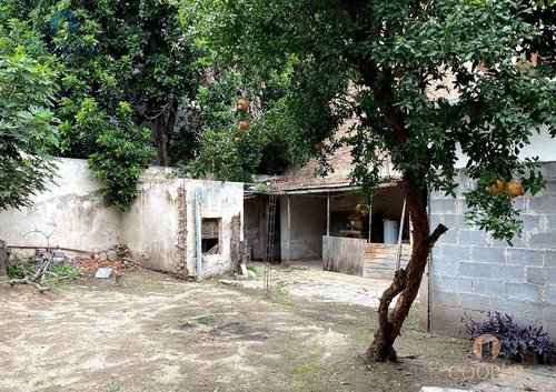 Imagen 14 de 26 de Casa + 2 Dptos En Venta Rodríguez Peña 1972 Apto Desarrollo