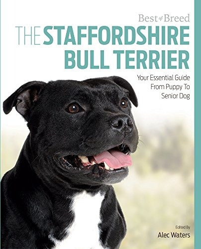 The Staffordshire Bull Terrier Su Guia Esencial Desde Cachor