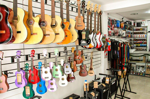 Imagen 6 de 7 de Cavaquinho