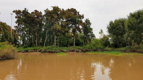 Lotes Venta 2da Secc. Delta, Islas Sobre Paraná De Las Palma
