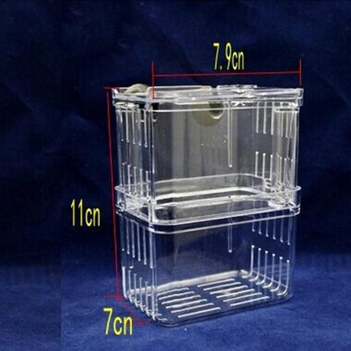 . Caja De Aislamiento De Peces 4 Piezas
