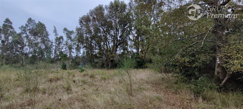 Sitios En Venta En Arauco, Sector Los Patos