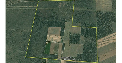 Imagen 5 de 5 de Terreno Campo En Venta Ubicado En Ingeniero Foster, Rancul