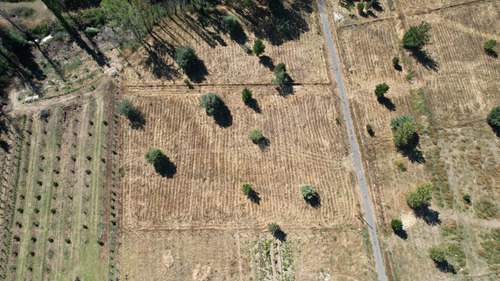 Parcela Sector Santa Ana, Quillón