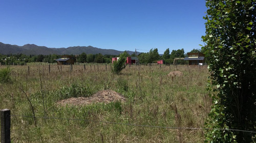 Imagen 3 de 3 de Dos Terrenos Juntos En Solar Los Molinos