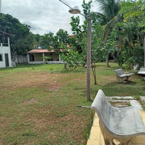 Imagem 6 de 14 de Vendo Mini-chácara Localizada Na Pavuna-ce