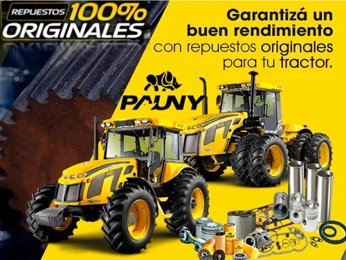Repuestos Pauny Original