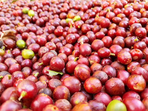 Café Moído 500g Gourmet Sul De Minas 10 Pacotes 100%arabica