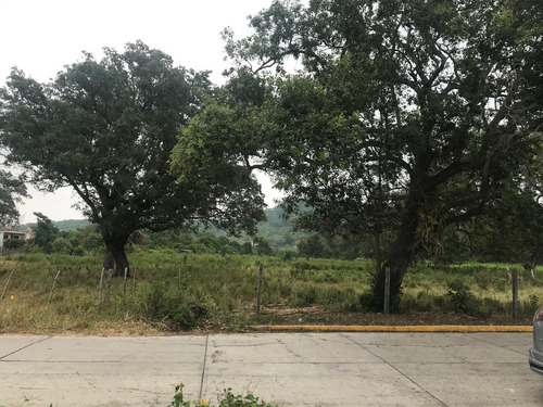 Terreno En Venta En Naranjos En Excelente Ubicación