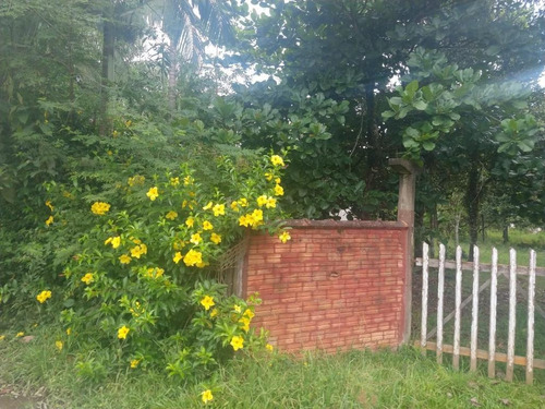 Charmosa Chácara Localizada Na Vila Das Palmeiras - Ch0139