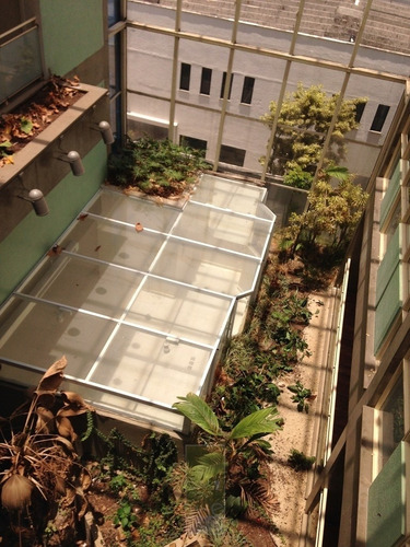 Imagem 7 de 15 de Santo Amaro - Prédio Comercial C/2137m² E 41 Vagas - Pn-0025-1