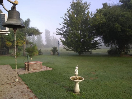 Permuto Chacra, 6 Has Parquizadasx Casa O Dpto En Pinamar , Antiguamente Siendo Un Haras, Se Fue Transformando En Casa Principal , Km 305 De La Ruta Nacional N*5 Carlos Casares-ba