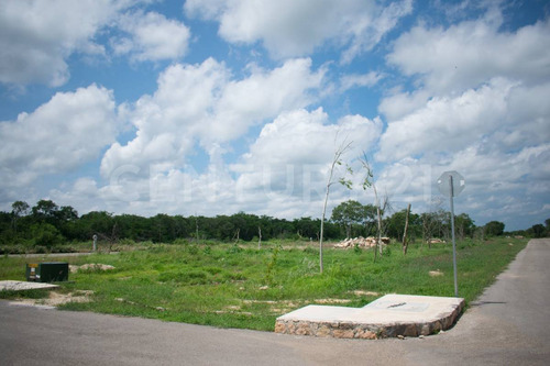 Terreno En Venta, En Chicxulub, Yucatán