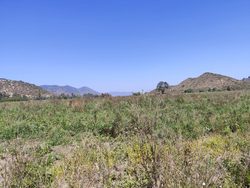 Arriendo Anual - 44 Ha Terreno Agrícola Cultivo Siembra