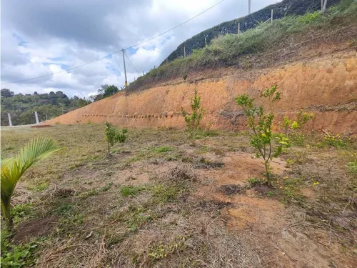 Lote En Rionegro Vereda La Playa