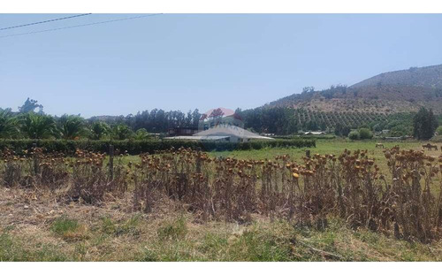 Venta De Parcela De 5000 En Melipilla