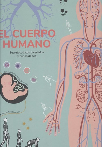 Libro El Cuerpo Humano - Peraboni, Cristina/de Amicis, Giuli