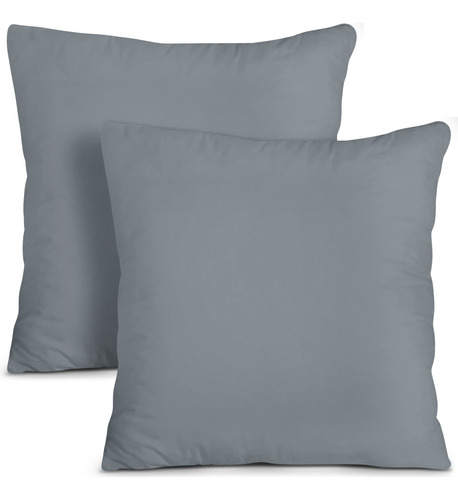 Paquete De 2 Relleno De Almohadas Decorativas Color Gris