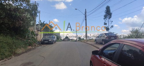 Imagem 4 de 4 de Terreno - Te00026 - 69385679