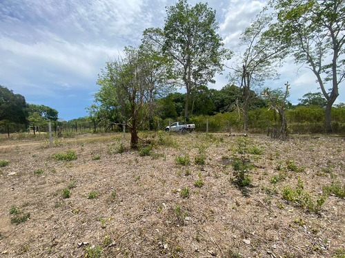 Venta Terreno 818.37 M² Col. Juana Moza Tuxpan Veracruz