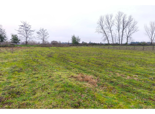 Venta Parcela 2 Hectáreas 1/4 A Orilla De Camino (177213)