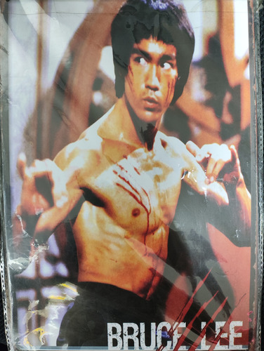 Placa Decorativa Retro Bruce Lee Vintage
