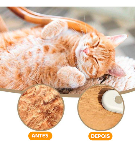 Escova A Vapor 3 Em 1 Pet Removedor Pelos Para Cães Gatos