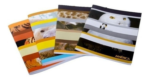 Imagen 1 de 1 de Cuaderno Tapa Flexible América Terra Rayado A4 80h.