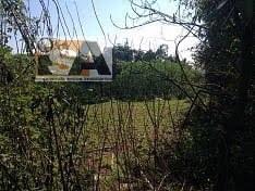 Imagem 2 de 9 de Área/terreno Em Ipelândia - Suzano - 2942
