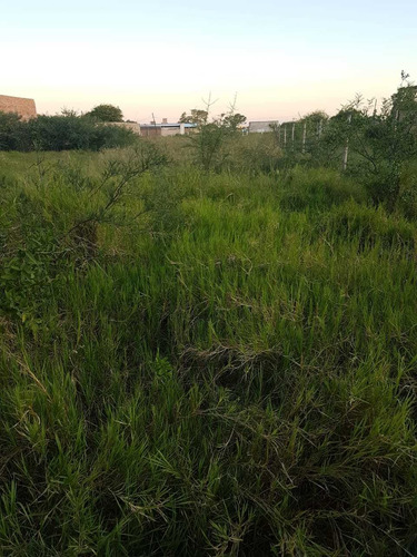 Imagen 7 de 8 de Útimo Terreno Sobre Asfalto En Zona Sur!