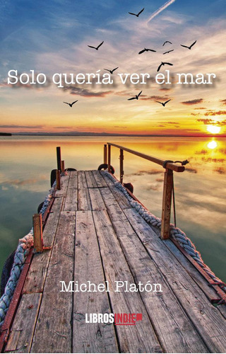 Libro: Solo Quería Ver El Mar. Platón, Michel. Libros Indie