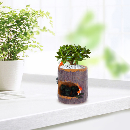 Maceta Con Forma De Sedum Con Forma De Flor Verde, Maceta Pa