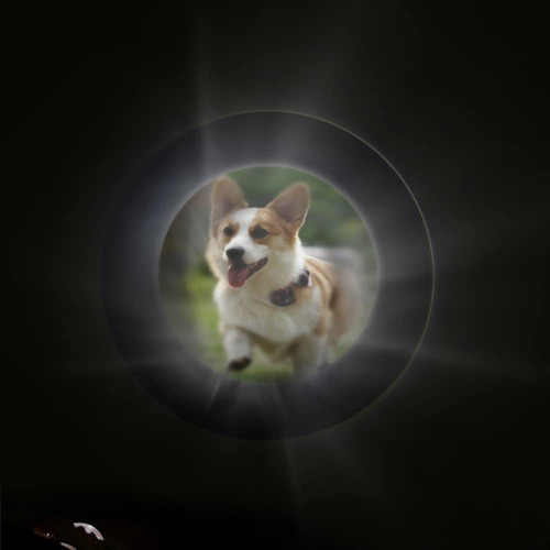 Colgante De Pata De Perro En Plata De Ley Con Foto