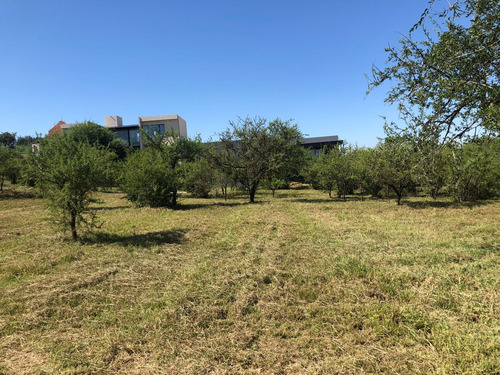 Vendo Terreno En Estancia El Terron