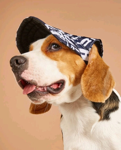 Gorro Jockey Para Perro O Gato Camuflaje Gorro Jockey Para Perro O Gato Camuflaje