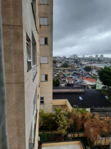 Imagem 23 de 30 de Florada Dos Andes São Bernardo Do Campo - 2257