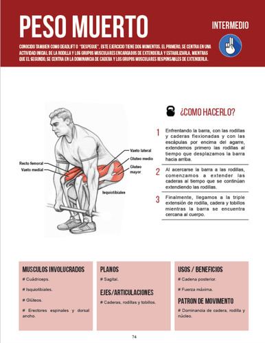 Fuerza Entrenamiento Y Anatomía Miembros Inferiores Tomo 2