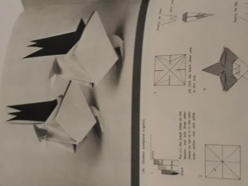 New Dimensions In Paper Craft - Origami Profesional (Usado)