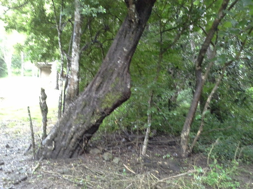 Imagen 1 de 14 de Terreno De Abangares