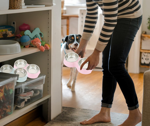 Plato comedero doble para perro con tazones de acero inoxidable MR Wuff color rosa
