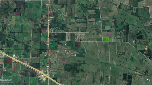Imagen 4 de 20 de Campo - Colón