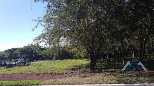 Chácara À Venda, 4500 M² Por R$ 230.000,00 - Riviera Do Nascente - Alvorada Do Sul/pr - Ch0079