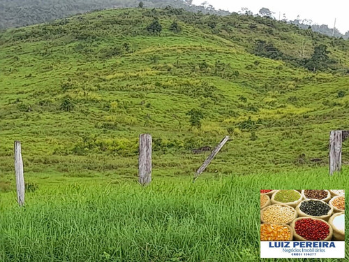 Imagem 10 de 14 de Fazenda À Venda Em Anapu - Pa - De 400 Alqueirões (pecuária) - 1661