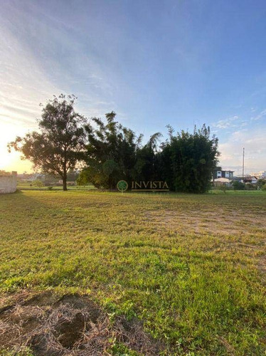 Imagem 10 de 12 de Terreno Plano De 459m² Nos Ingleses. - Te0782