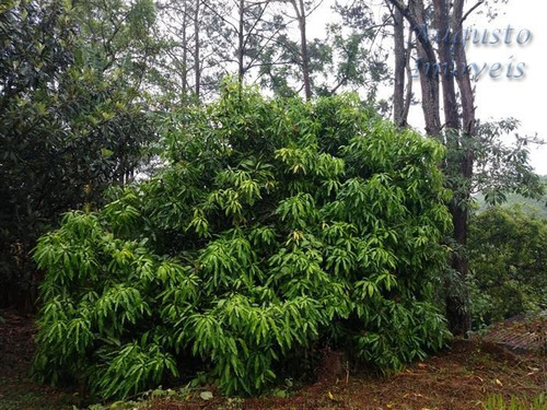 Chácaras À Venda Em Atibaia/sp - Compre O Seu Chácaras Aqui! - 1470765