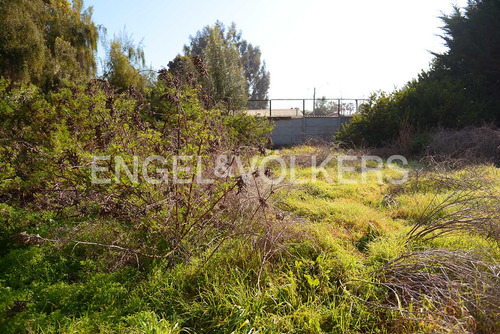Arriendo Terreno Comercial Las Cruces.