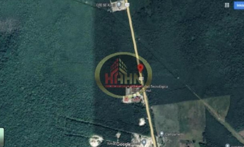 Campeche Calakmul Terreno Rustico En Venta