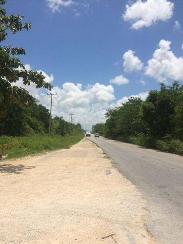 Imagen 7 de 8 de Terreno En Venta Cancun 4,900m2 | P2227