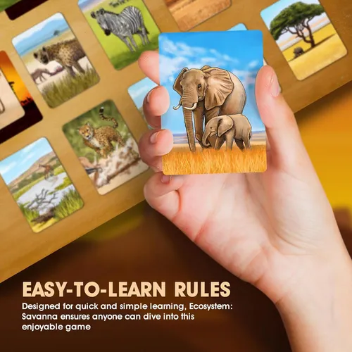 Ecosystem: Savanna - Un Juego De Cartas Familiar Sobre Animales En Bosques Herbáceos De Sabana Africana, Juego De Ecología Para Niños Y Adultos