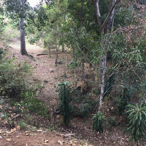 Imagen 20 de 30 de Parcela Con Bienhechurías En San Juan De Los Morros, Guárico